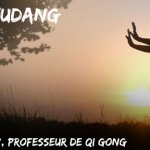 Energie du Wudang 